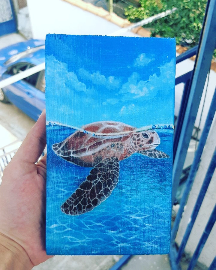 Daria Sergeevna Bogushevskaya. Sea turtle