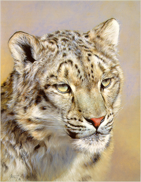 Edward Aldrich. Portrait of snow leopard