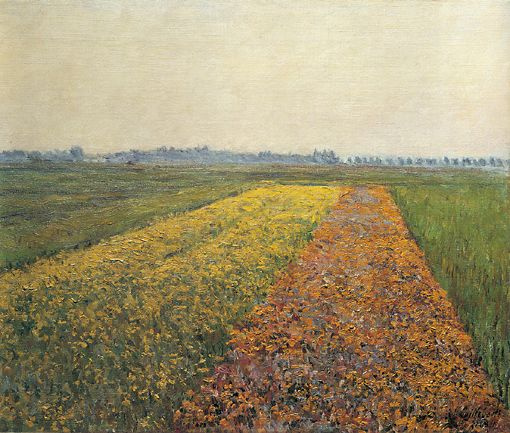Gustave Caillebotte. Gennevillier的黄色领域