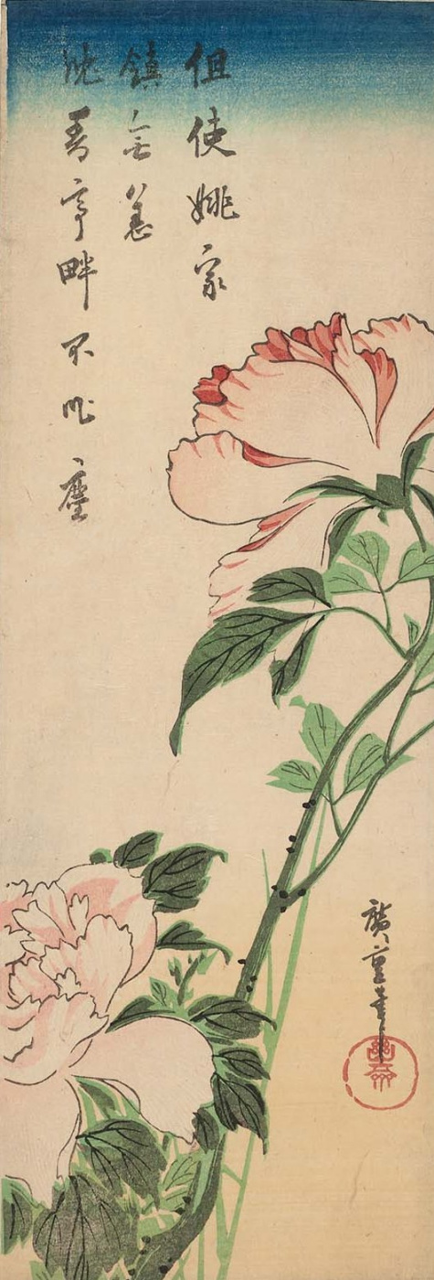 Utagawa Hiroshige. Peonies