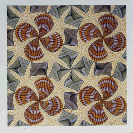 Maurits Cornelis Escher. Seashells and Starfish (No. 42)