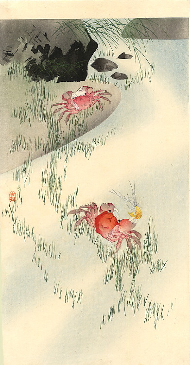 Ohara Koson. Crabs