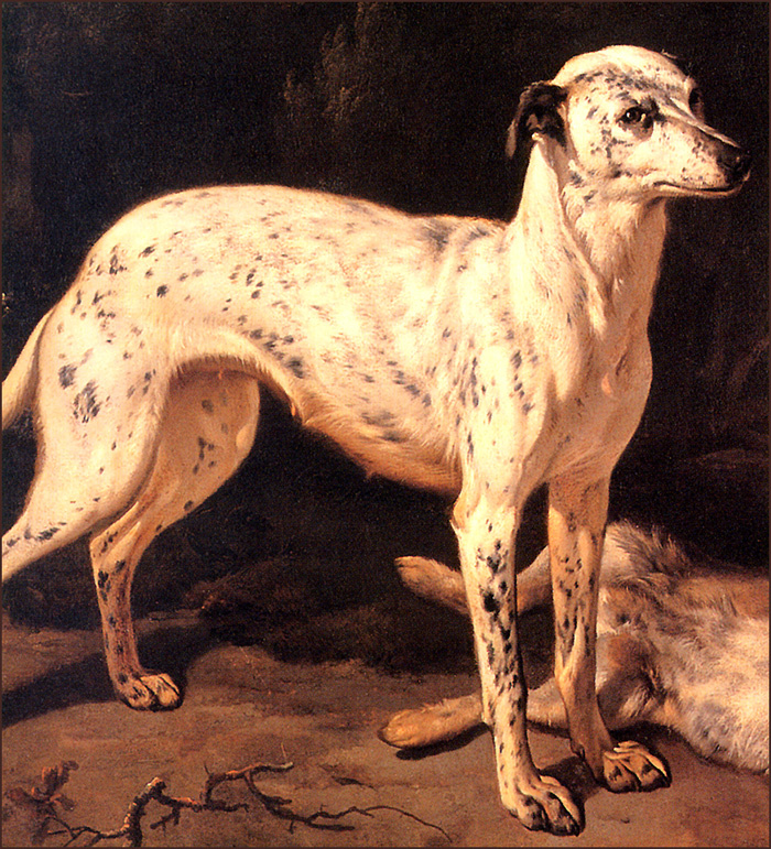 Jan Baptist Venix. A dog stands near a dead hare