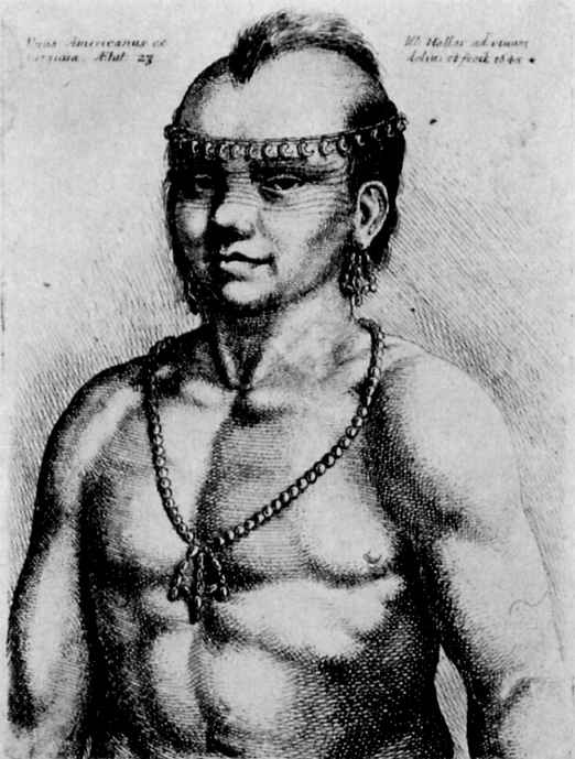 温泽尔 霍拉尔. Portrait of an Indian from Virginia