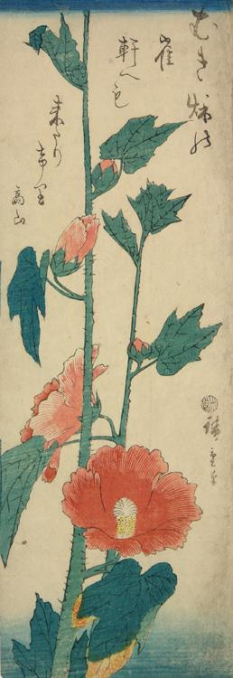 Utagawa Hiroshige. Mallow