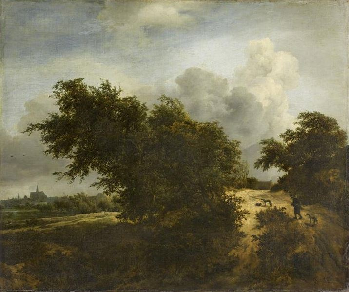 Road in the dunes near haarlem