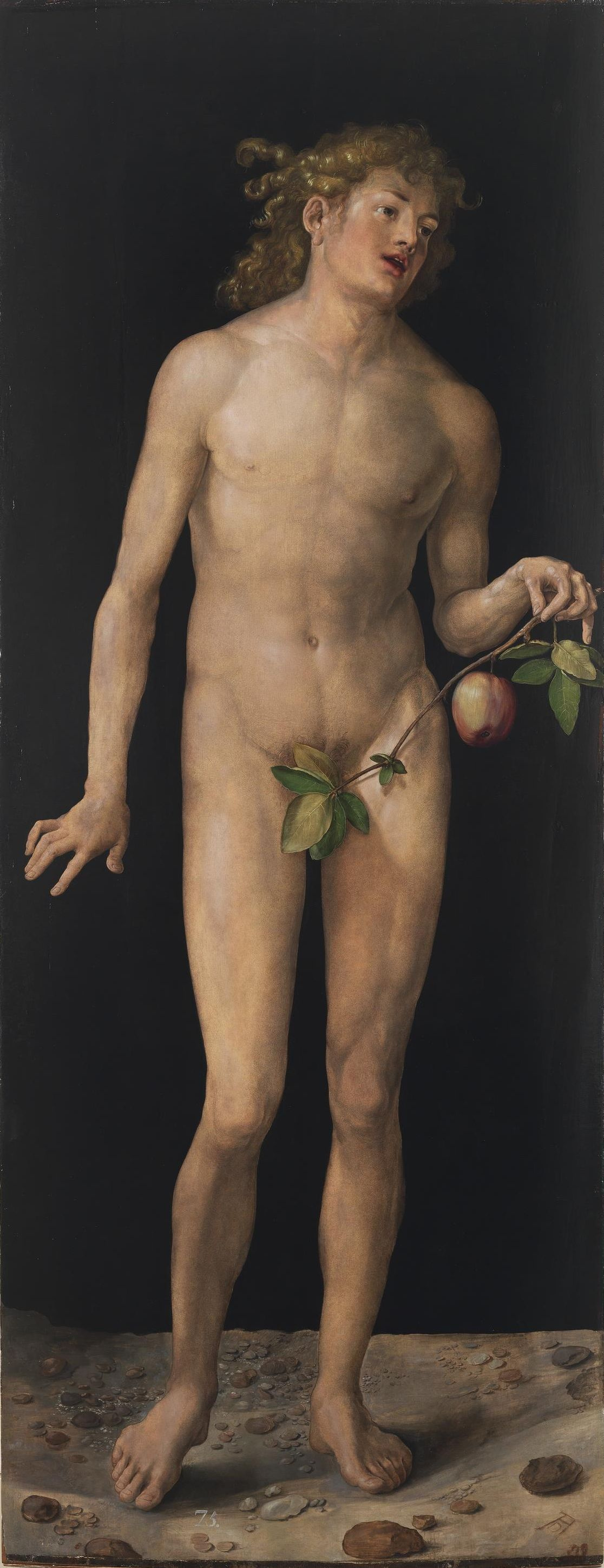 Albrecht Dürer. Adam