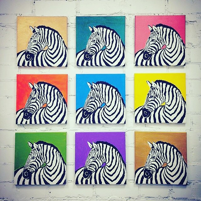 Color285. Zebras