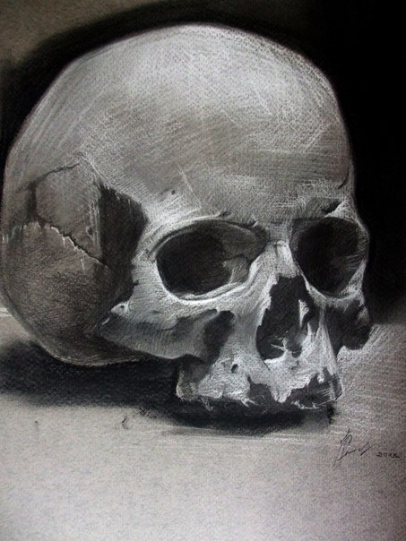 Alexander Giza-Ciobanu. Skull