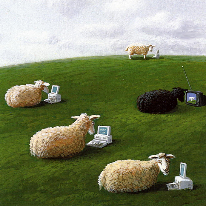 Michael Owl. Sheep with laptops