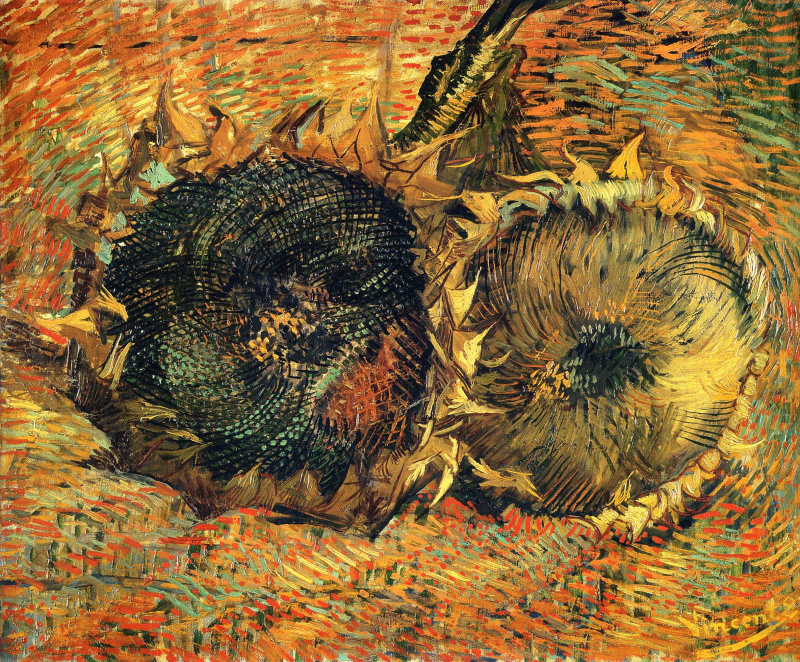 Buy digital version: Two sunflower by Vincent van Gogh, Bern | Arthive