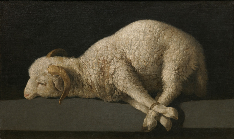 Buy digital version: The lamb of God (Agnus Dei) by Francisco de