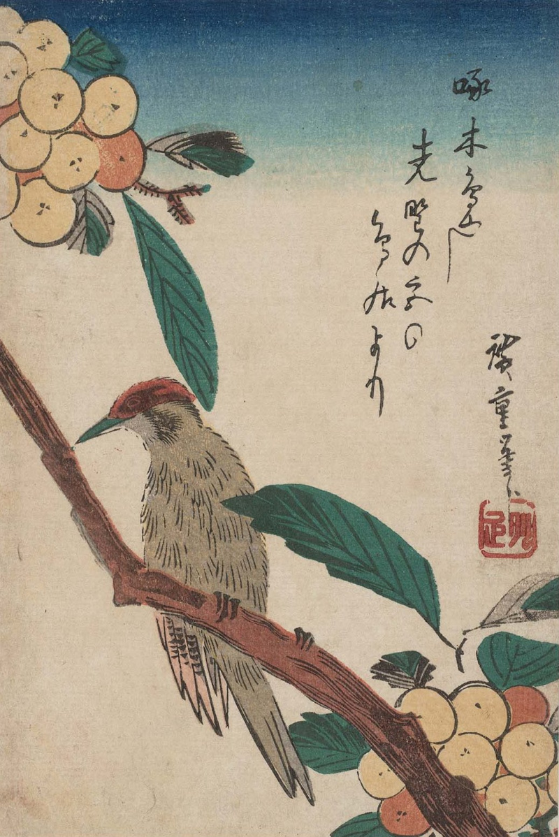 Buy a digital copy: Utagawa Hiroshige - Pic sur la branche du néflier ...