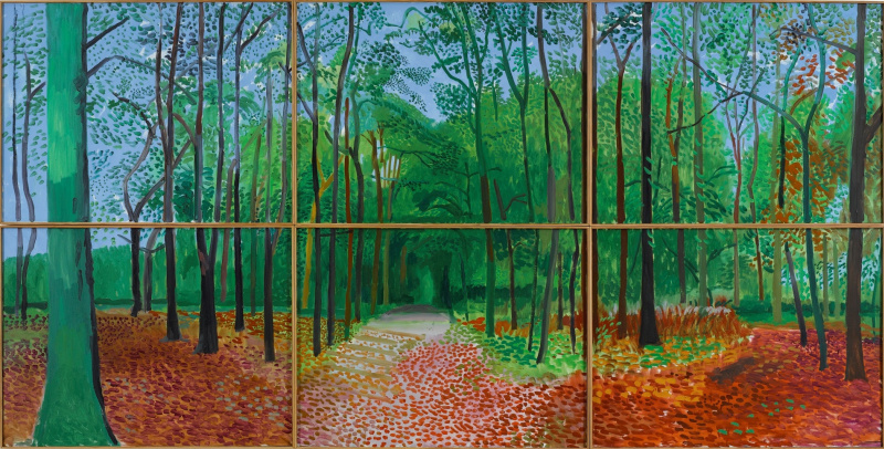 Forests in East Yorkshire on October 24, 25 and 26, 2006, 2006