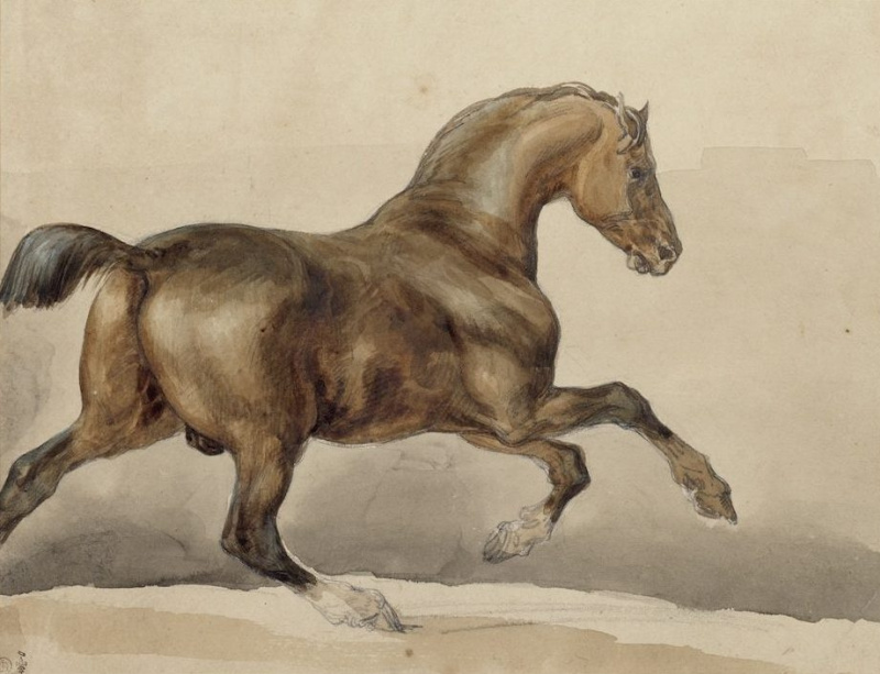Théodore Géricault Cheval au galop, 1810, 28×22 cm : Descriptif de l ...