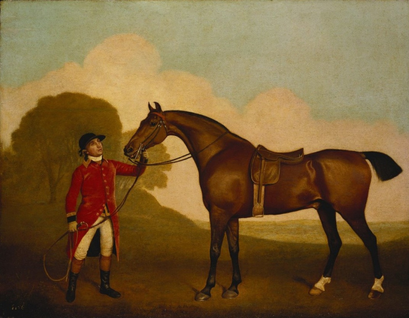 George Stubbs Cheval avec jockey, 1791, 73×56 cm : Descriptif de l ...