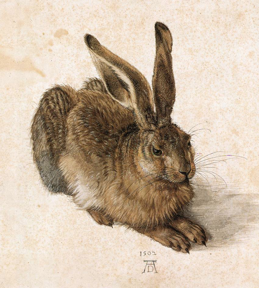 Retrospective of Dürer in Vienna: “The Young Hare”, “Praying Hands” and self-portraits take centre stage
