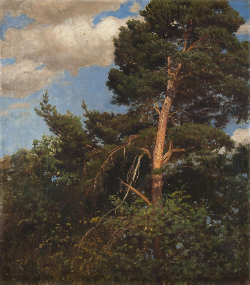 Pál Szinyei Merse. Tall pine