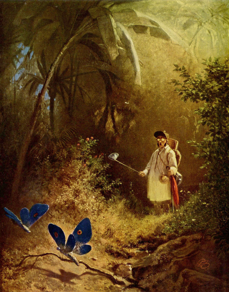 Karl Spitzweg. Butterfly catcher