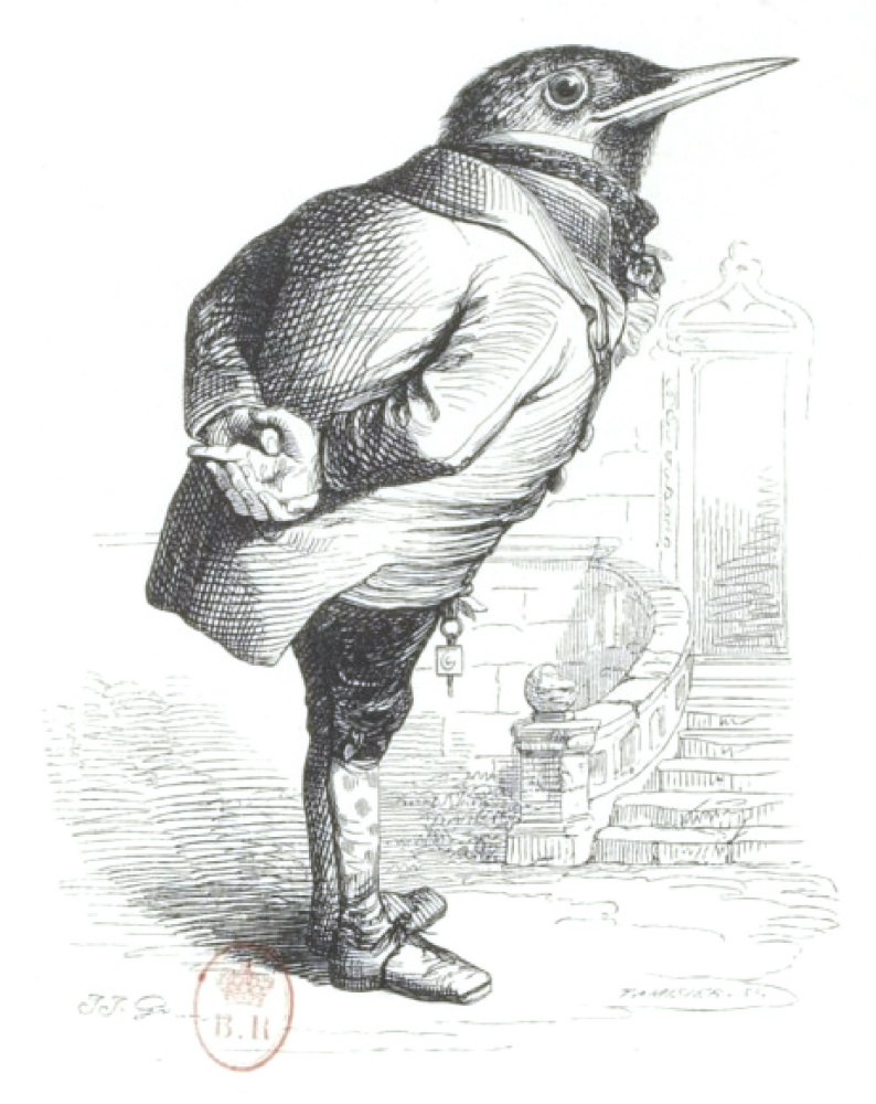 Jean Ignace Isidore Gérard Grandville. Loneliness. "Scenes of public and private life of animals"