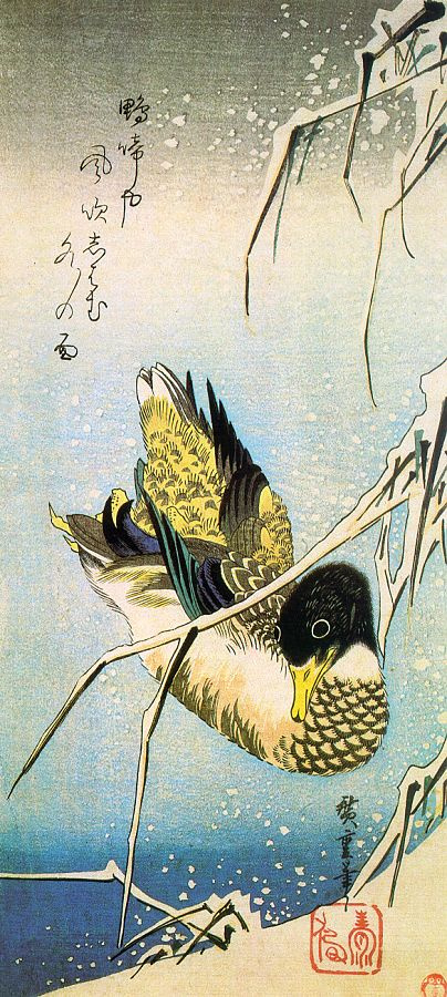 Utagawa Hiroshige. Duck-Mallard ducks among snowy reeds