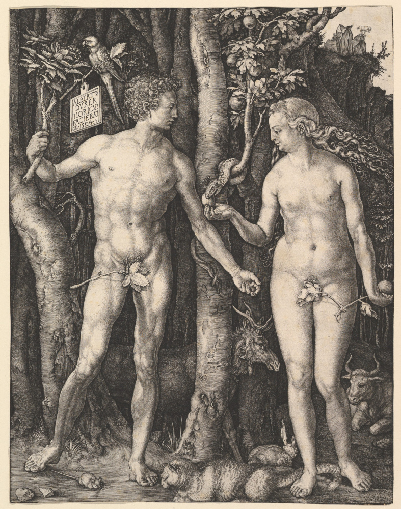 Albrecht Durer. Adam et Eve