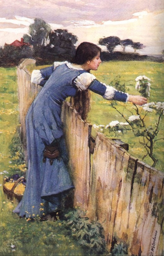 John William Waterhouse. The choice of the flower