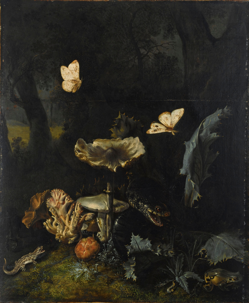 Otto Marceus van Scriec. Natura morta con funghi, vipera e cardo