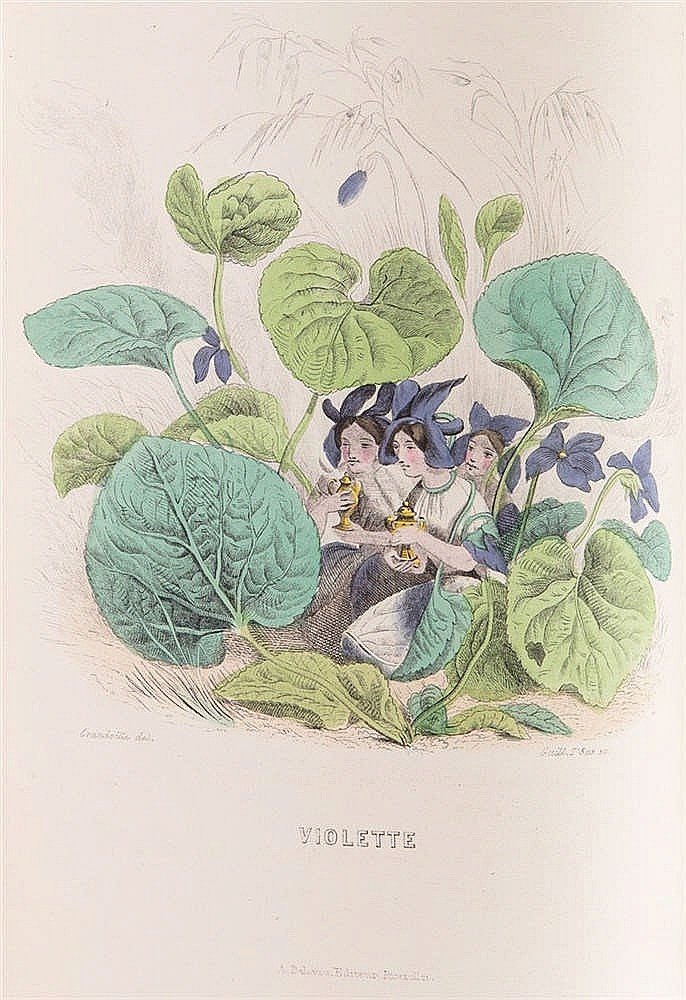 Jean Ignace Isidore Gérard Grandville. Violets. The series "Animate Flowers"