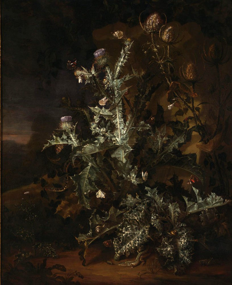 Otto Marceus van Scriec. Still life with Thistle