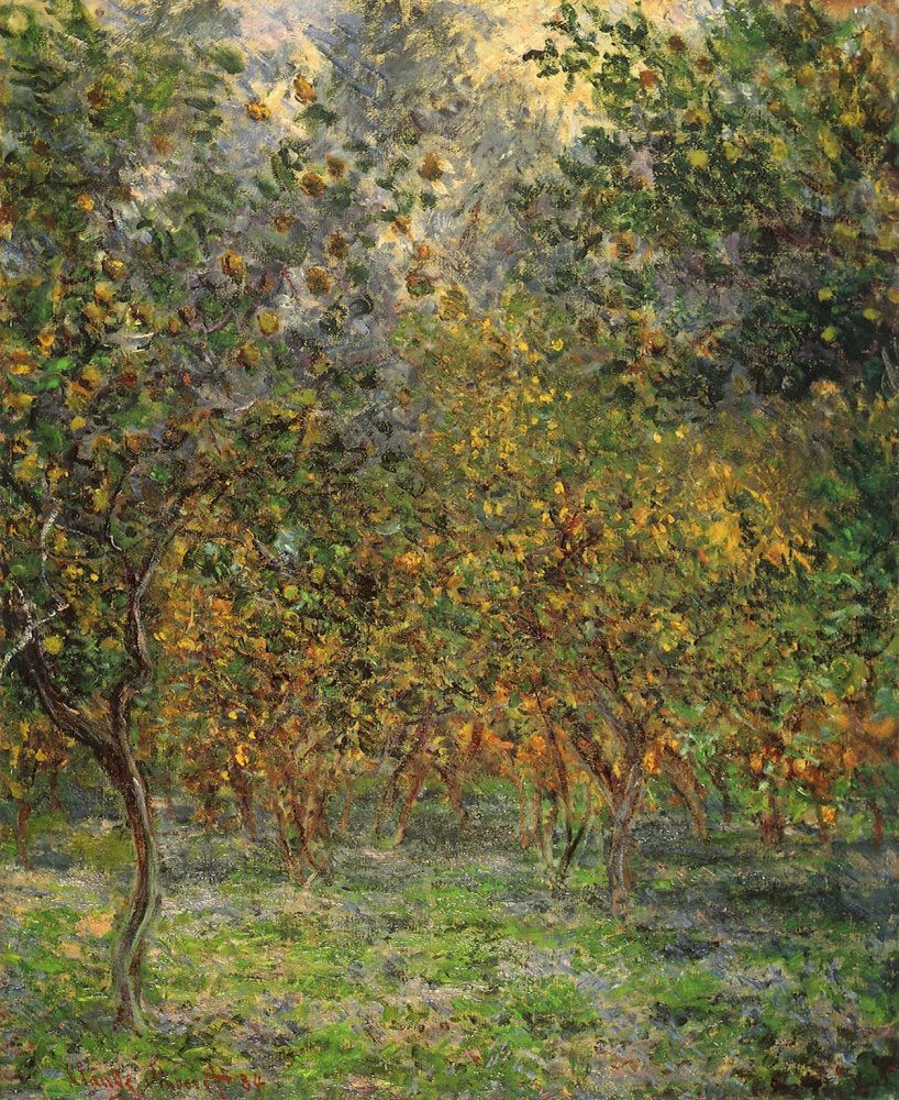 Claude Monet. Lemon grove in Bordighera