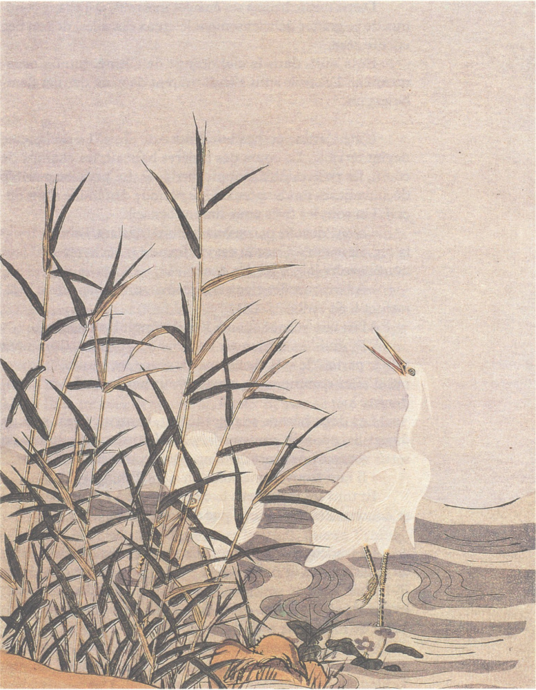 Suzuki Harunobu. 苍鹭和芦苇