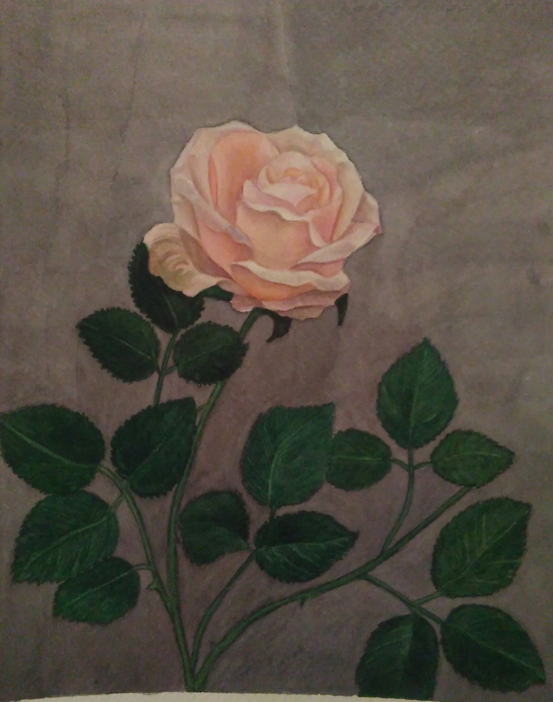 Lyudmila Kachur. Rose flower