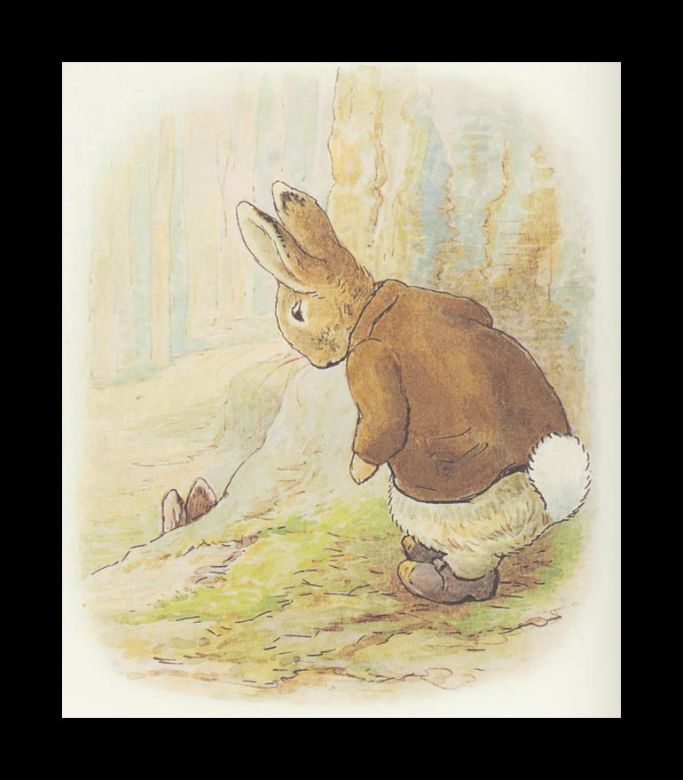 Benjamin and Rabbit Peter Bunny. The tale of Peter the rabbit 24