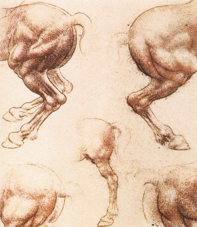 Leonardo da Vinci. Sketches of horses