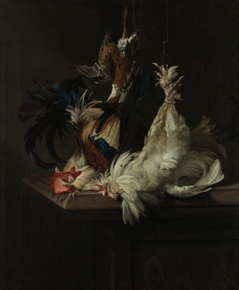 Willem van Aelst. Still life with poultry