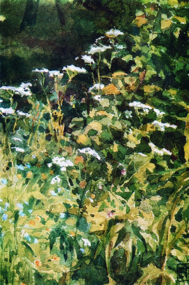 Elena Dmitrievna Polenova. White Yarrow Flowers