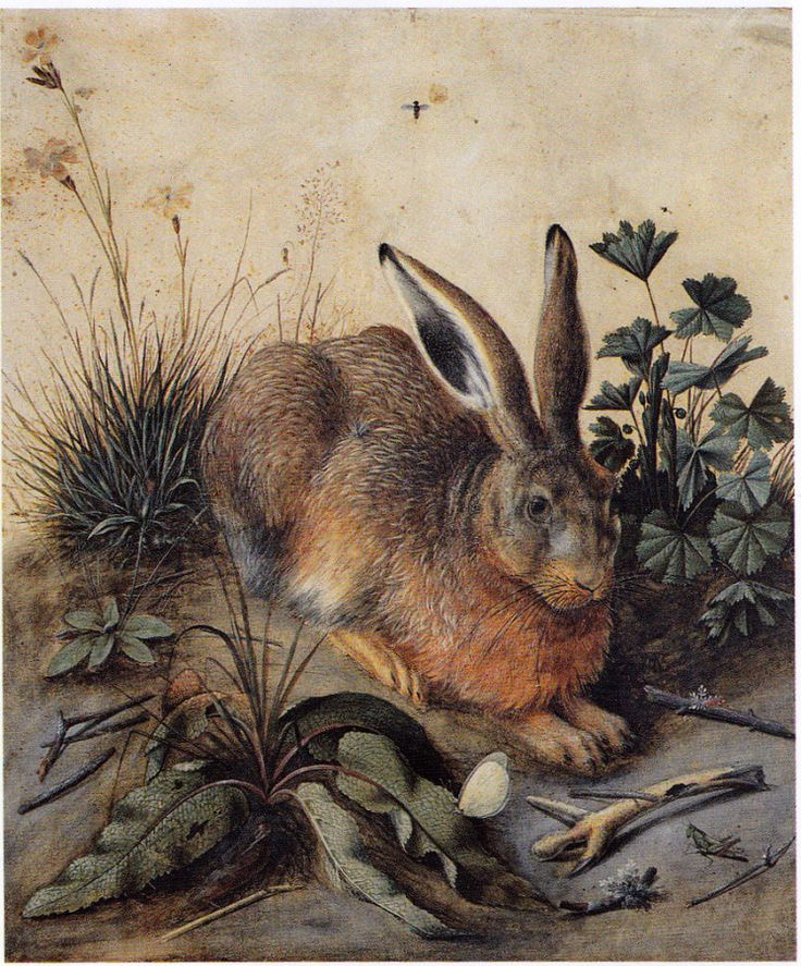 Hans Hoffmann. A variation on the theme durasovskom hare