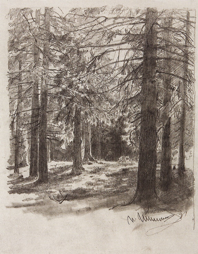 Ivan Shishkin. Spruce, lit by the sun