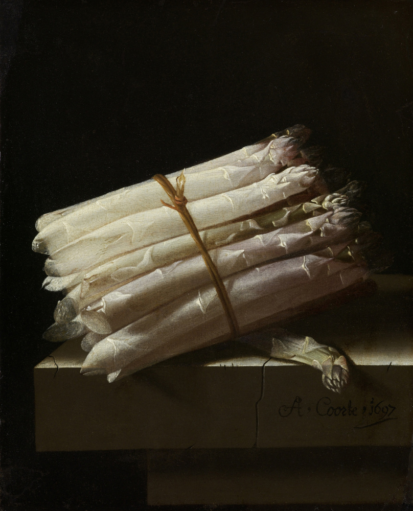 Adrian Coort (Coorte). Still life with asparagus