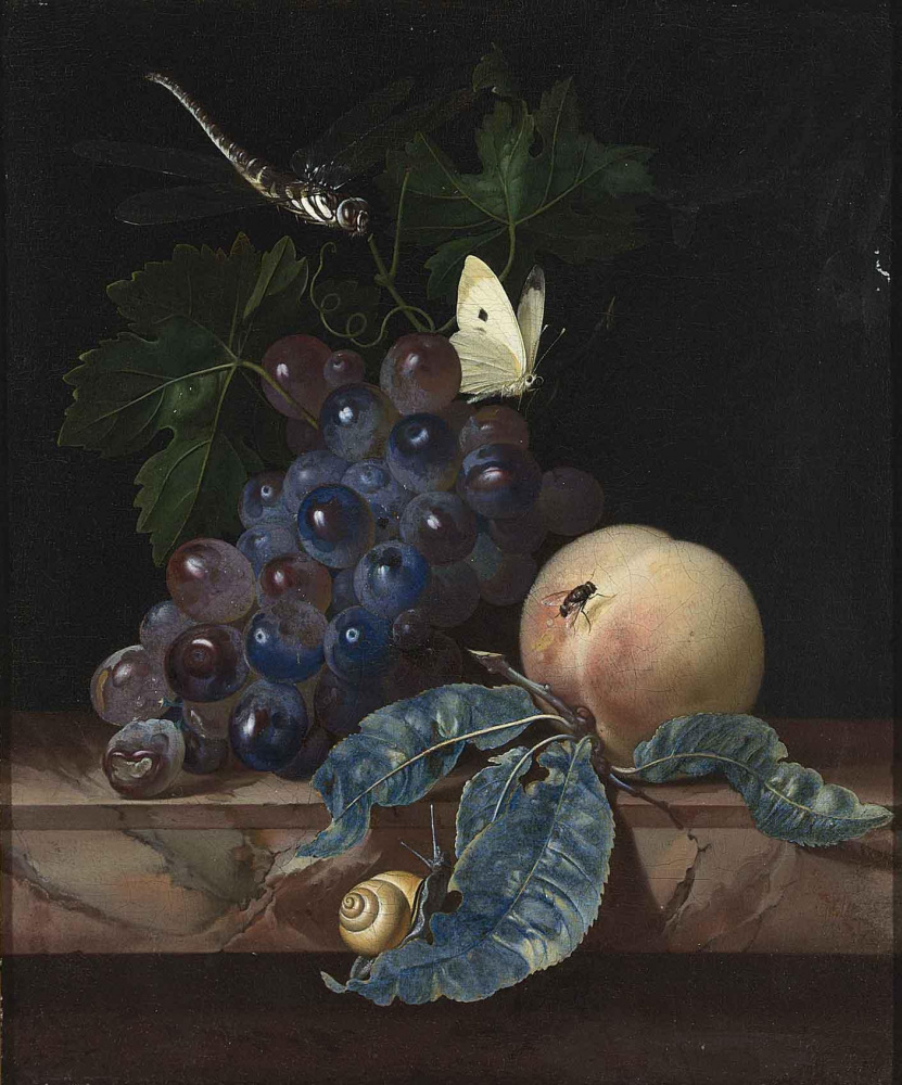 Willem van Aelst. Still life with grapes, a peach, a dragonfly and a butterfly