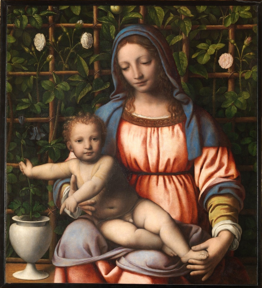 Bernardino Luini. Madonna in front of a hedge of rose bushes