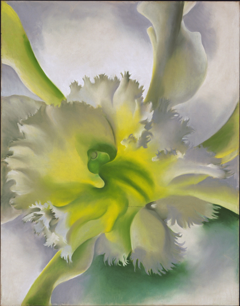 Georgia O'Keeffe. Orchids