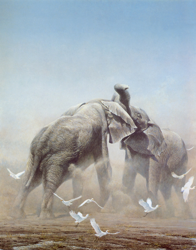 Robert Bateman. Battle elephants