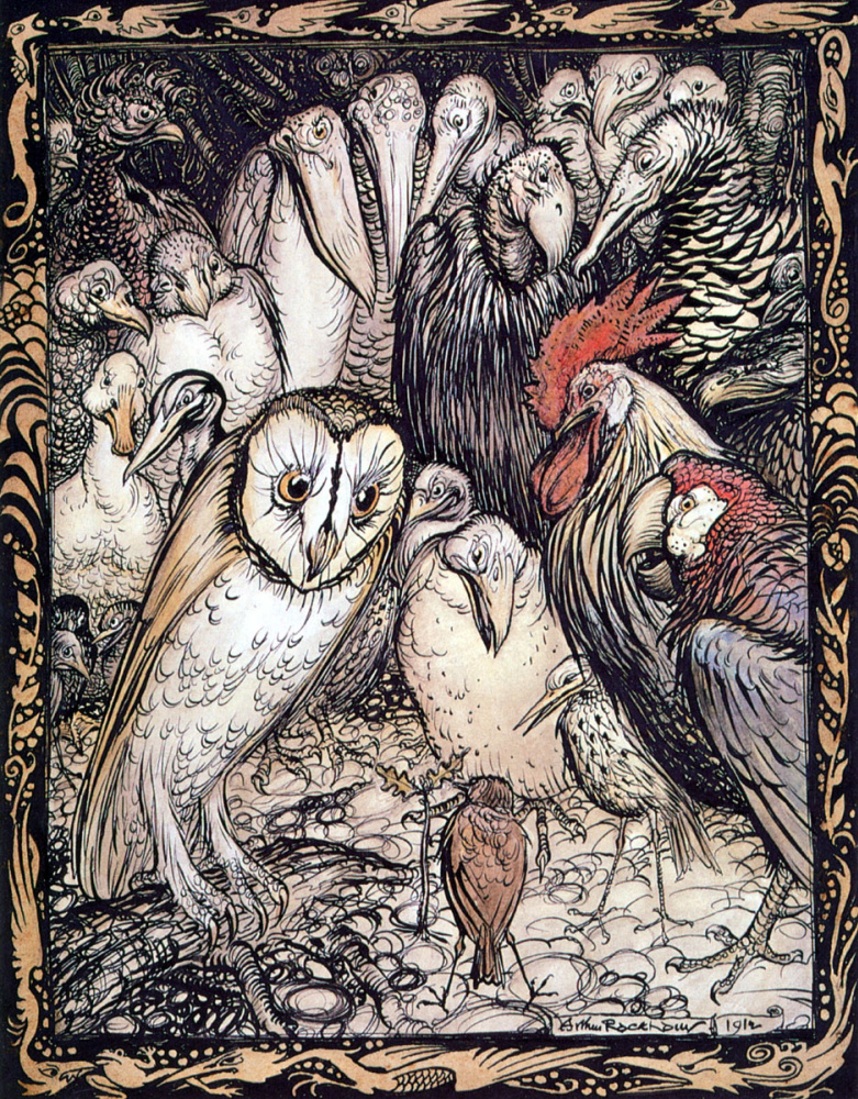 Arthur Rackham. Birds