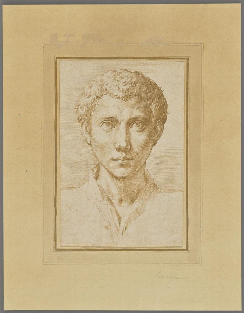 Francesco Parmigianino. Young man's head