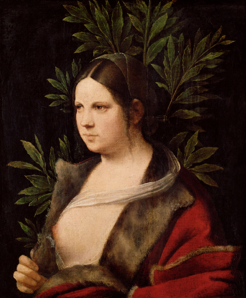 Giorgione. Laura