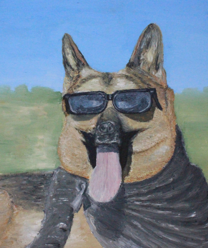 Paul. Dog wearing sunglasses