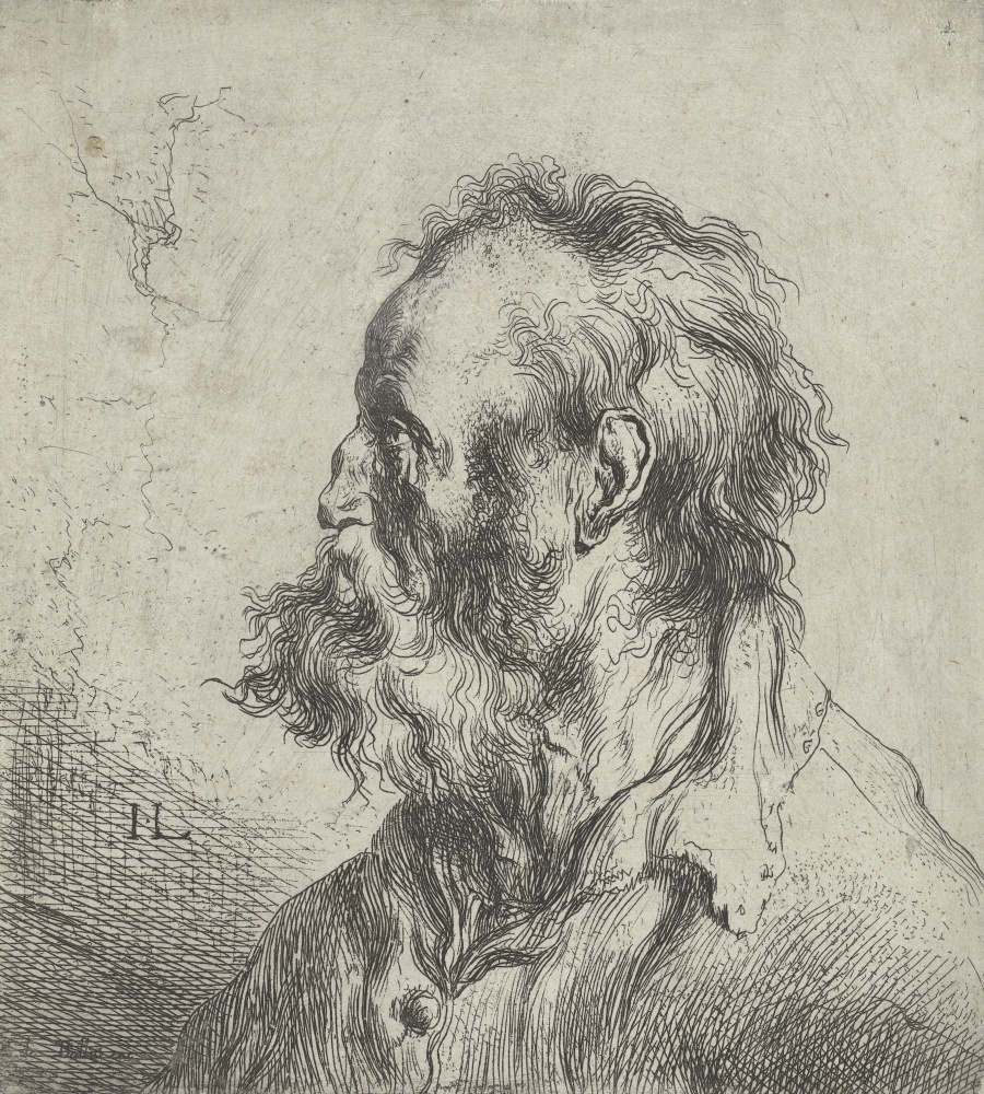 Jan Lievens. Profile of a bearded man in shirt