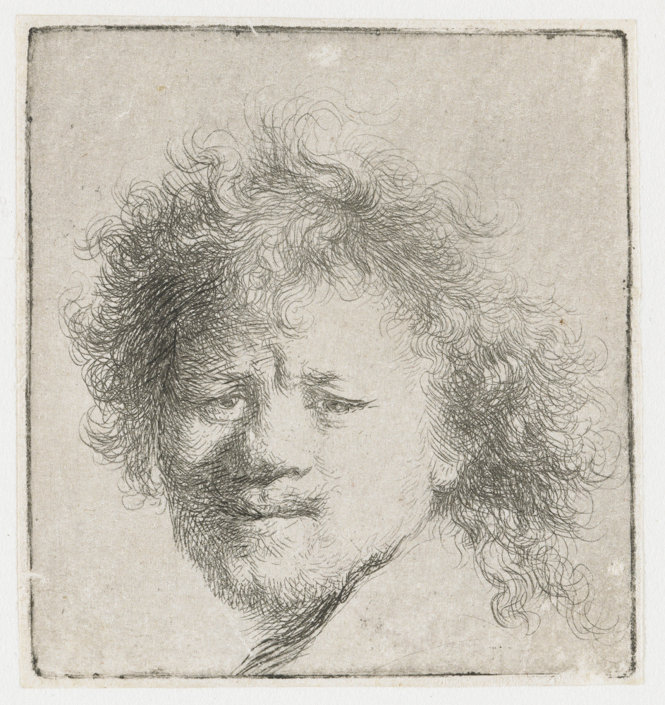 Rembrandt Harmenszoon van Rijn. Self portrait with tousled hair